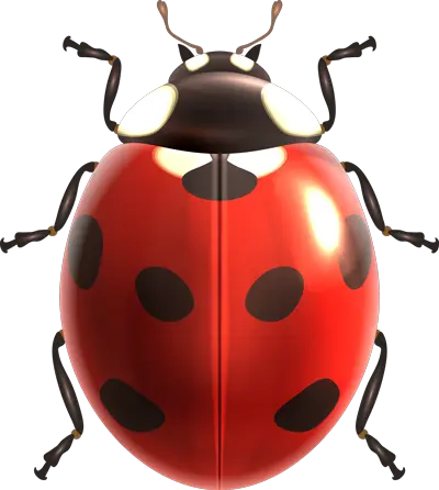 biedronka
